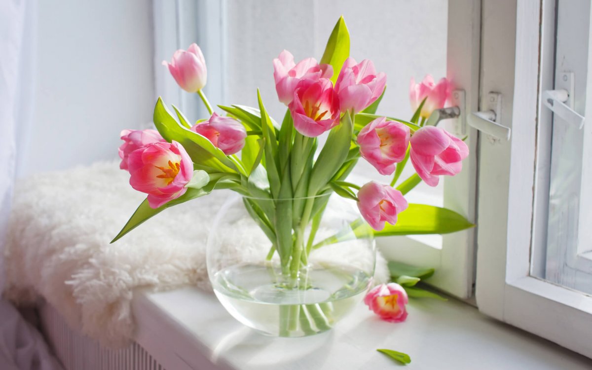 Тюльпаны дома в вазе (76 фото)
